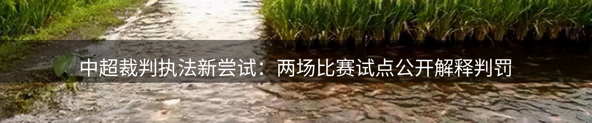 赛事资讯
